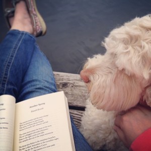 c5f90888ba7011e2a16822000a9e076a_7